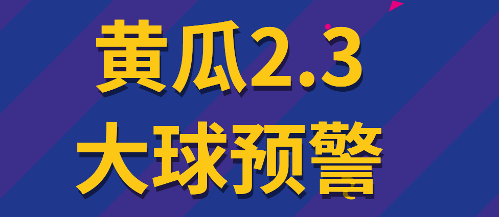 『精品软件』外面收费1980的黄瓜2.3足球下半场预警系统新版算法优化更准更稳定！