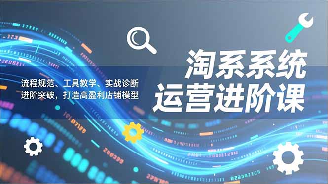 淘系系统运营进阶课2.0，流程规范、工具教学、实战诊断，进阶突破，打造高盈利店铺模型-新时光资源网