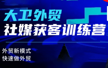 大卫老师·外贸社媒获客独家训练营(更新10月)-新时光资源网