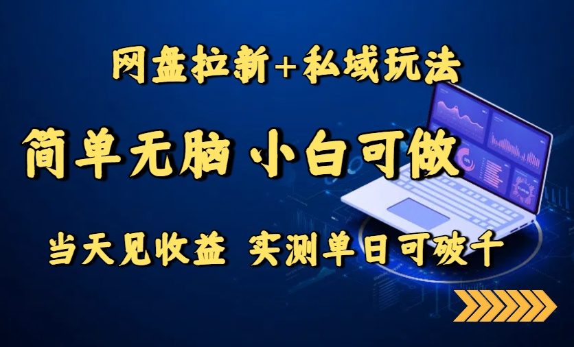 网盘拉新+私域玩法，简单无脑，小白可做，当天见收益，实测单日可破千-新时光资源网