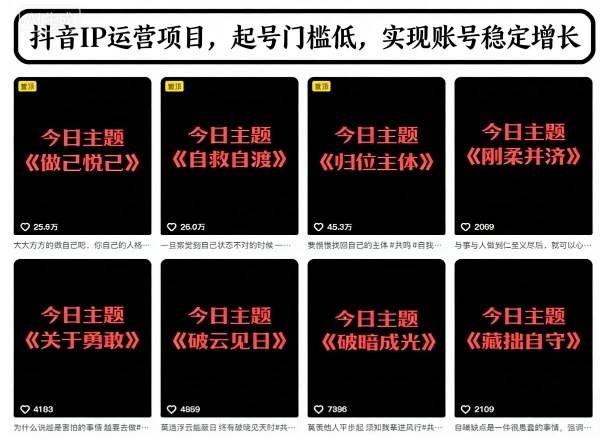 抖音IP运营项目，抖音今日主题玩法，起号门槛低，实现账号稳定增长-新时光资源网