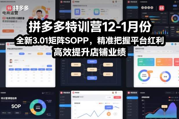 拼多多特训营12-1月份，全新3.01矩阵Sop，精准把握平台红利，高效提升店铺业绩-新时光资源网