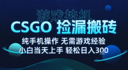 8月最新游戏搬砖，CSGO纯挂G，不需要玩游戏，实现真挂G，月入1W+【揭秘】-新时光资源网