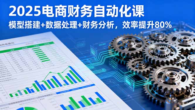2025电商财务自动化课，模型搭建+数据处理+财务分析，效率提升80%-新时光资源网