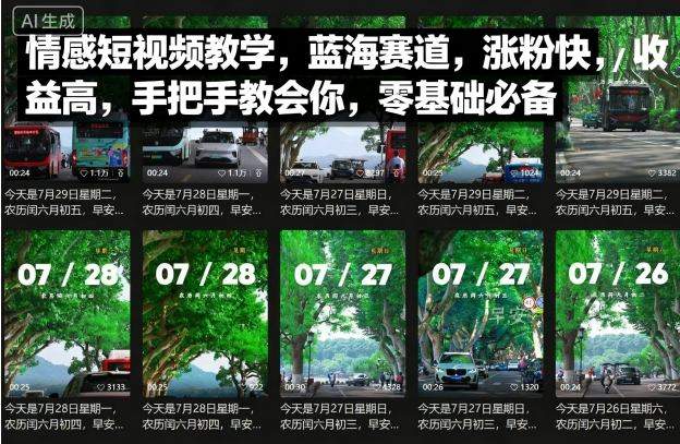 情感短视频教学，蓝海赛道，涨粉快，收益高，手把手教会你，零基础必备-新时光资源网