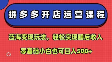 拼多多开店运营课程：蓝海变现玩法，轻松实现睡后收入，零基础小白也可日入5张-新时光资源网