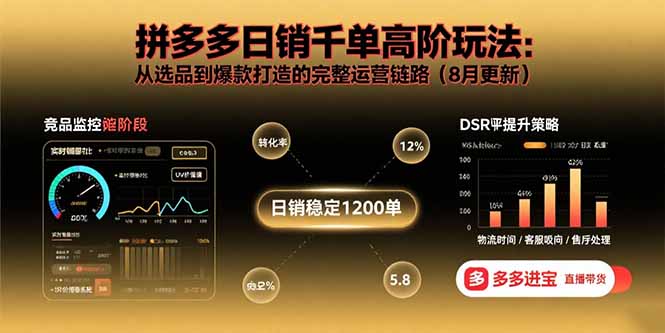拼多多日销千单高阶玩法：从选品到爆款打造的完整运营链路(8月更新-新时光资源网