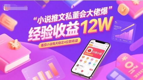小说推文私董会大佬爆单经验分享收益12W，番茄小说每天稳定4位数收益-新时光资源网