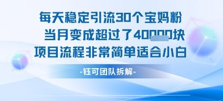 每天稳定引流30个人 当月变成超过了4个W项目流程非常简单适合小白-新时光资源网