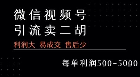 视频号卖二胡教程，利润大 易成交 售后少，一单利润5张+-新时光资源网