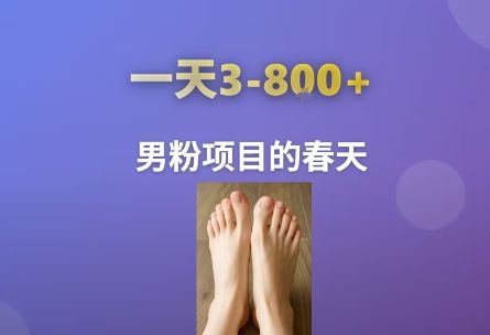 AI一键生成美女素材，一天收益3-8张，男粉项目的春天-新时光资源网