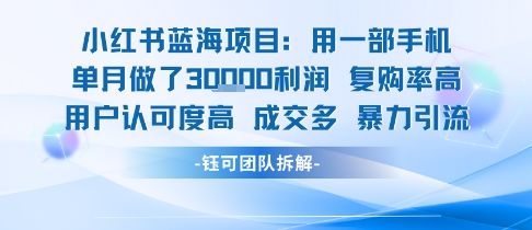 小红书蓝海项目，一部手机单月做了3W利润，小白也能月入过1W用户认可度高成交多-新时光资源网