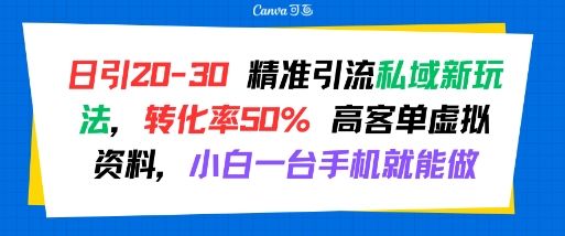 日引 20-30 精准引流私域新玩法，转化率50% 高客单虚拟资料，小白一台手机就能做-新时光资源网