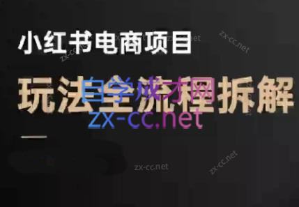 菲菲老师·小红书电商玩法(更新7月)-新时光资源网