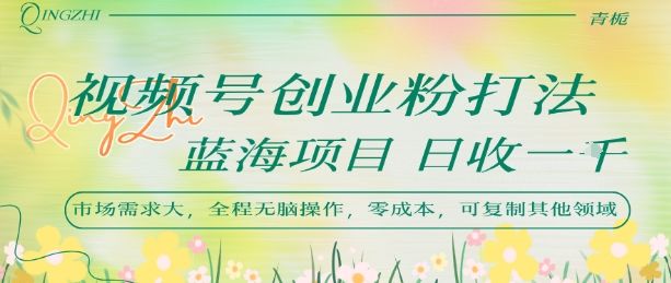 视频号创业粉打法，日入1k，蓝海项目，市场需求大，全程无脑操作，可复制-新时光资源网