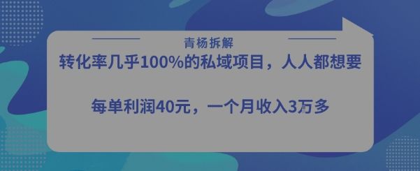 转化率最高的私域项目，每单利润40-50米，月入过1w-新时光资源网