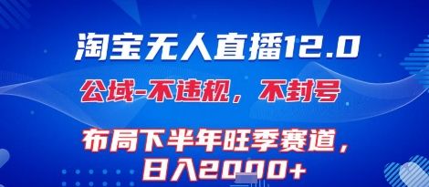 淘宝无人直播12.0，不封号，不违规，布局下半年旺季赛道，日入1k+(独家技术)【揭秘】-新时光资源网