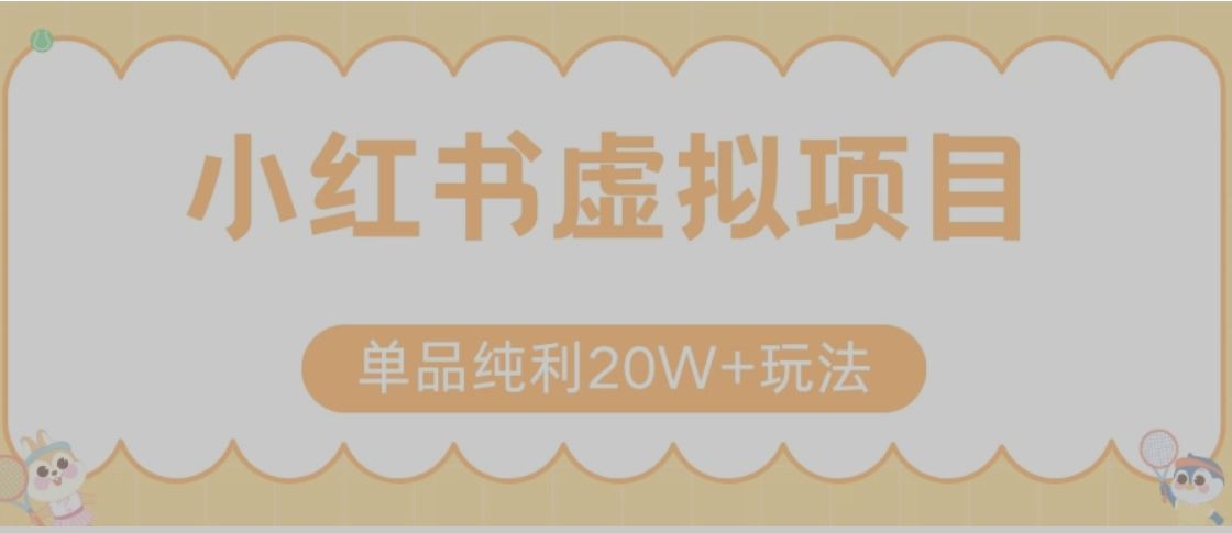 小红书卖虚拟产品，单品纯利20W+玩法分享（节系列课程）-新时光资源网