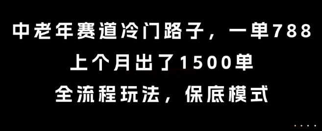 中老年赛道冷门路子，一单788，上个月出了1500单，全流程玩法，保底模式【揭秘】-新时光资源网