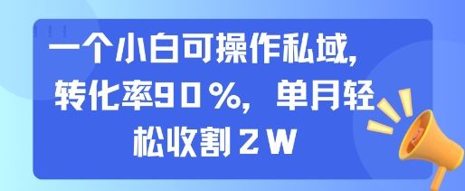 一个小白可操作私域，转化率90%，单月轻松收割2W-新时光资源网