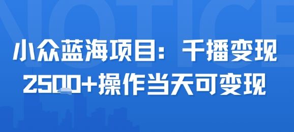 小众蓝海项目，千播变现2.5k+操作当天可变现-新时光资源网