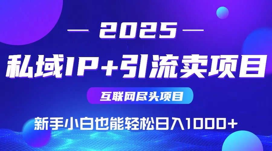 2025网创尽头项目，私域IP+引流，新手小白也能在家日入1000+-新时光资源网