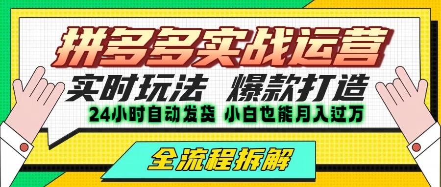 拼多多最新实战运营高投产：长久稳定项目，单店利润一天三位数-新时光资源网