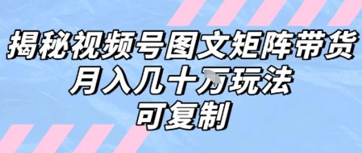 解密视频号图文矩阵带货，月入几个W的打法，可复制-新时光资源网