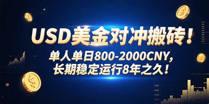 USD美金对冲搬砖!单人单日800-2000CNY，长期稳定运行8年之久!-新时光资源网