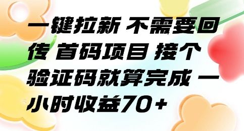 一键拉新 不需要回传 首码项目 接个验证码就算完成 一小时收益70+【揭秘】-新时光资源网