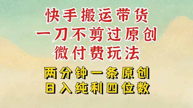 快手黑科技搬运带货，一刀不剪过原创，微付费投流玩法，轻松日入四位数…-新时光资源网