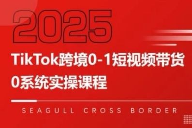 TikTok跨境0-1短视频带货，系统拆解TikTok跨境带货全链路，实现跨境可持续盈利-新时光资源网