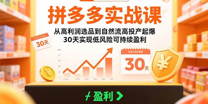拼多多实战课：从高利润选品到自然流高投产起爆 30天实现低风险可持续盈利-新时光资源网