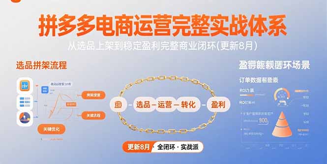 拼多多电商运营完整实战体系，从选品上架到稳定盈利完整商业闭环(更新8月-新时光资源网