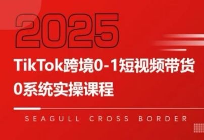 大亿老师·TikTok跨境0-1短视频带货-新时光资源网