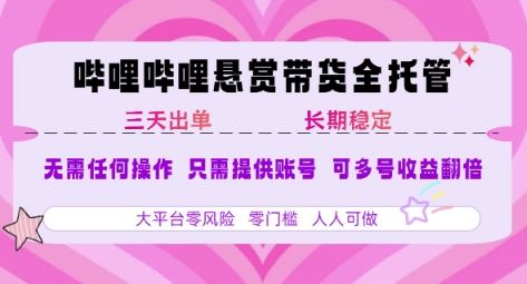 2025年B站风口带货项目 仅需提供账号 全程托管 轻松月入1w+-新时光资源网