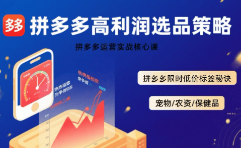久号老师·拼多多选品暴利技术实战课-新时光资源网