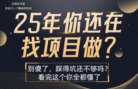 25年，你还在疯狂的找项目吗？别傻了，看完这个你都懂了【揭秘】-新时光资源网