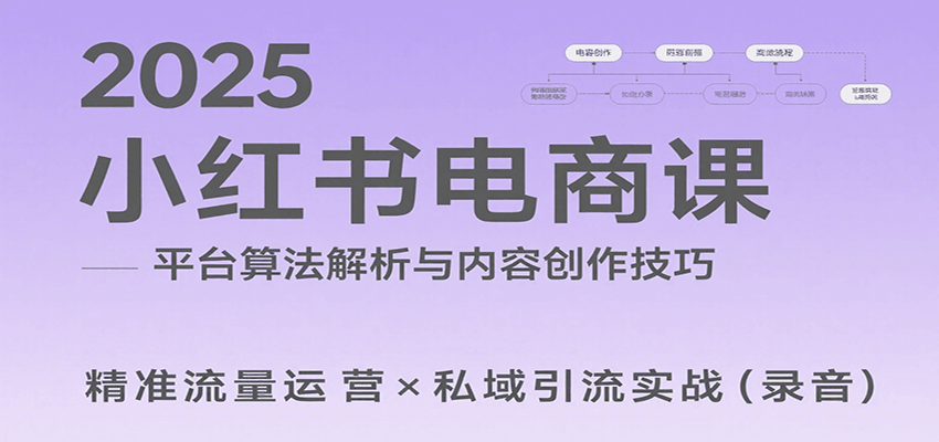 2025小红书电商课：解析算法，创作高转化内容，助力卖家获取流量实现变现(录音)-新时光资源网