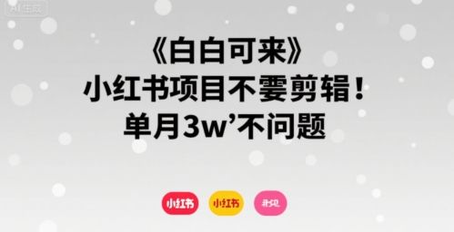 小白可来 小红书项目不需要剪辑 单月3w不是问题-新时光资源网