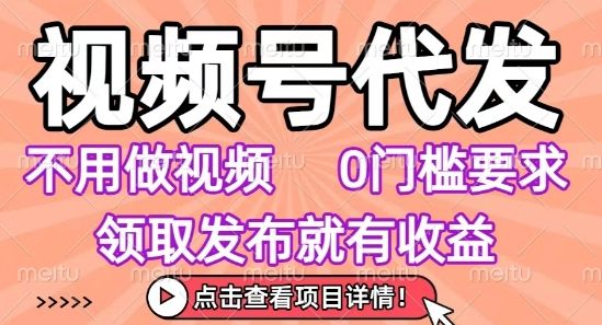 视频号代发，不用剪辑不用做视频，0门槛要求，领取发布就有收益，任务没有无上限，小白轻松上手【揭秘】-新时光资源网