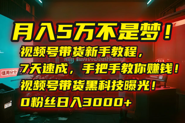 月入5万不是梦！视频号带货新手教程，7天速成，手把手教你赚钱！视频号…-新时光资源网