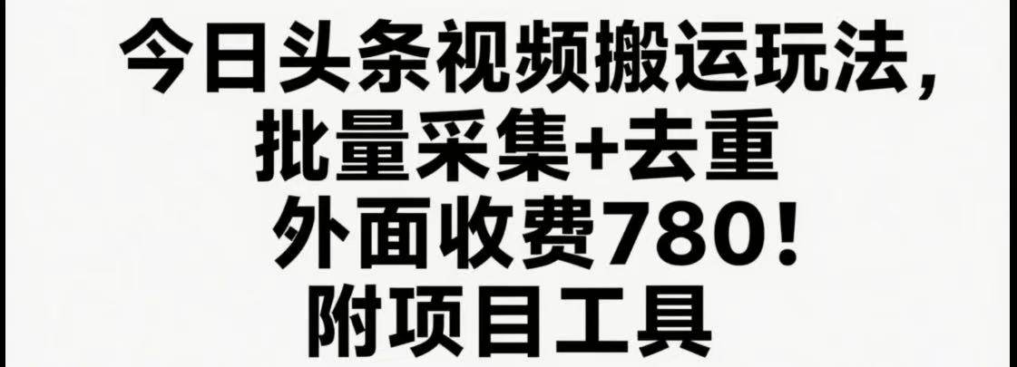 今日头条视频搬运玩法，软件一键去重，轻松日入500+附项目工具-新时光资源网