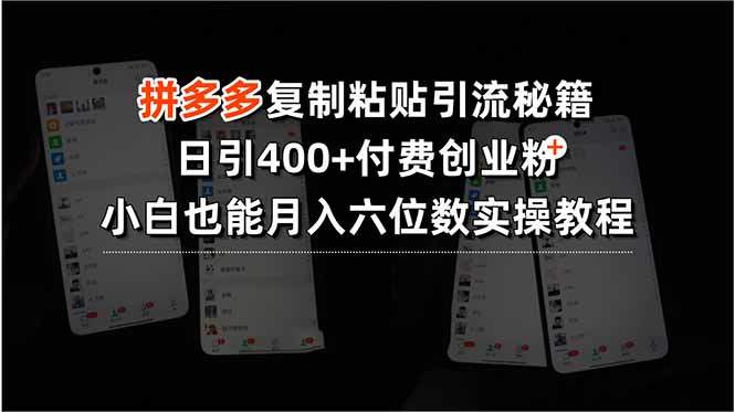 拼多多复制粘贴引流秘籍，日引400+付费创业粉，小白也能月入六位数实操…-新时光资源网