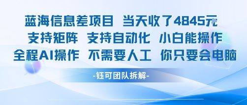 蓝海信息差项目当天收米1k+ 支持矩阵支持自动化小白能操作全程AI操作不需要人工你只要会电脑-新时光资源网