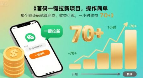 首码一键拉新项目，操作简单，接个验证码就算完成，收益可观， 一小时收益70+【揭秘】-新时光资源网