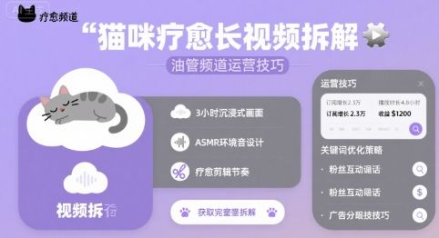猫咪疗愈长视频拆解 &油管频道运营技巧-新时光资源网