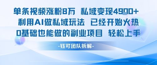 单条视频私域变现4.9k+利用AI做私域玩法 已经开始火热0基础也能做的副业项目轻松上手-新时光资源网