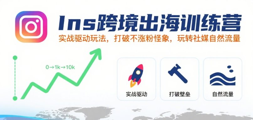 Ins跨境出海训练营，实战驱动玩法，打破不涨粉怪象，玩转社媒自然流量-新时光资源网