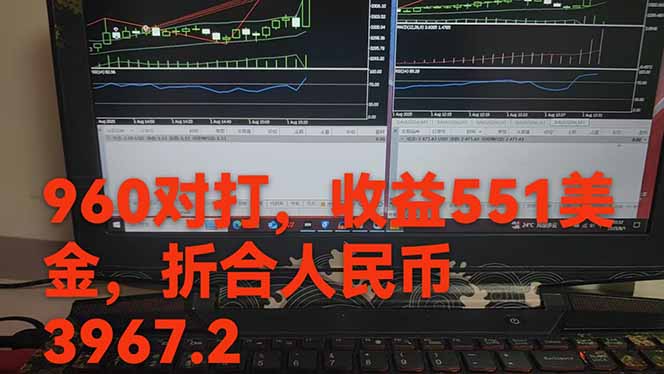 图片[1]-稳定8年的美刀搬砖项目，单人每日收益800—3000.团队4人月入10W+.可线下-新时光资源网